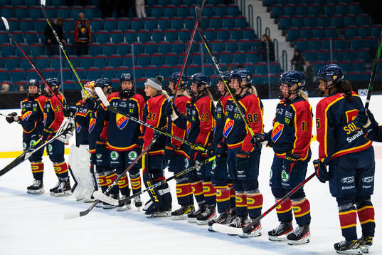 Djurgårdens spelare jublar
