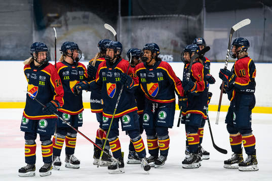 Djurgårdens spelare jublar