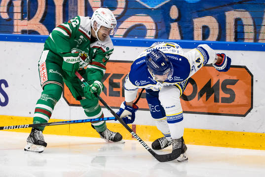 Rögles Samuel Jonsson och Leksands Carter Ashton
