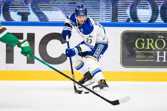 Leksands Mikael Ruohomaa