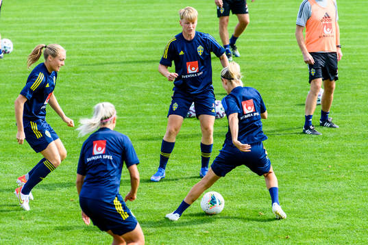 Nilla Fischer and Magdalena Eriksson of the Swedish women's