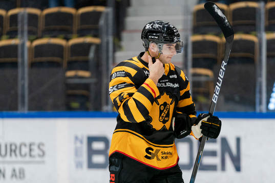 Skellefteås Stefan Loibl
