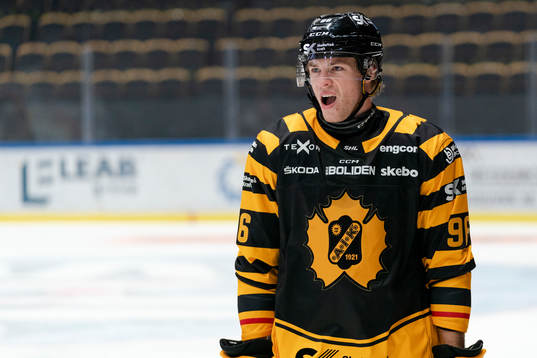 Skellefteås Rickard Hugg