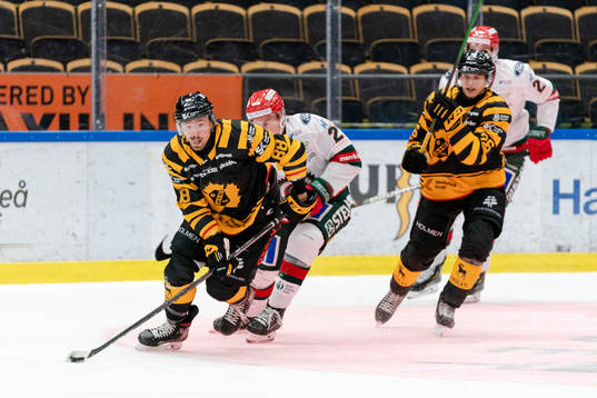 Skellefteås Jayce Hawryluk