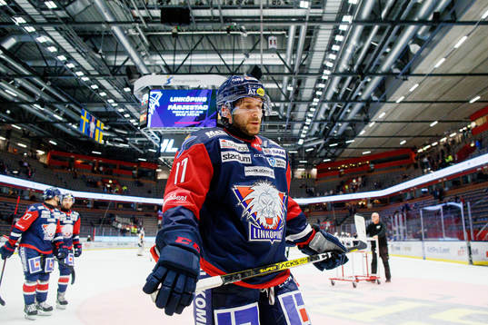 Linköpings Brian Gibbons deppar