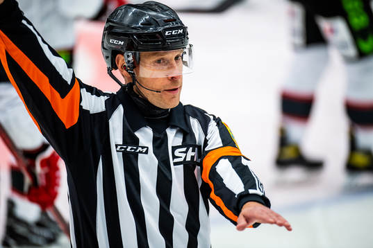 Domare Tobias Björk