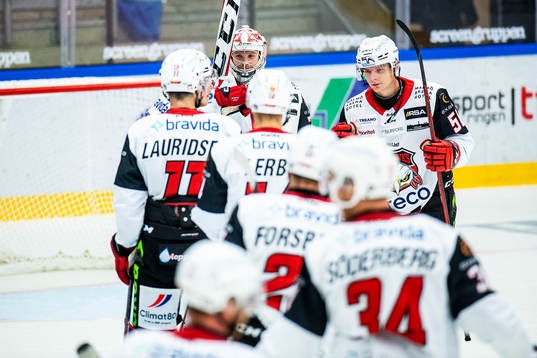 Malmö Redhawks spelare jublar