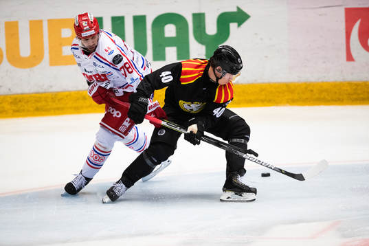 Timrås Robin Hanzl och Brynäs Tomi Sallinen