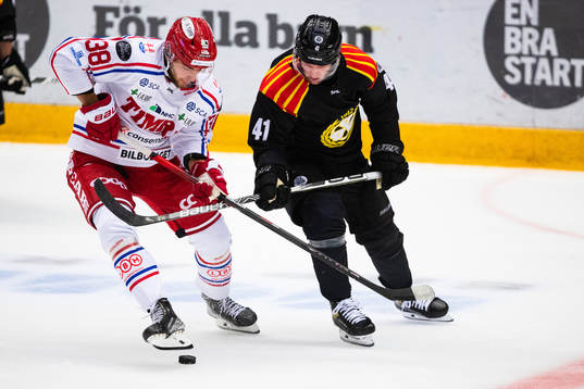 Timrås Jacob Olofsson och Brynäs Greg Scott