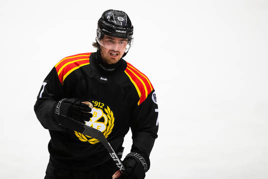 Brynäs Marcus Björk