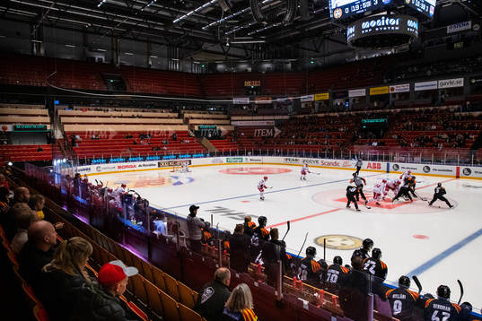 Monitor ERP Arena