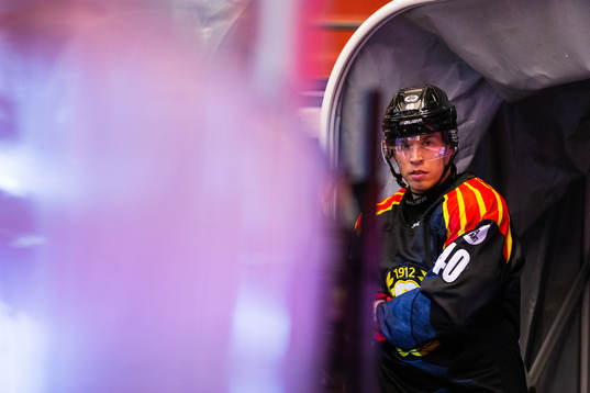 Brynäs Tomi Sallinen
