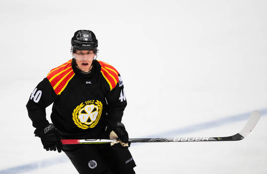 Brynäs Tomi Sallinen
