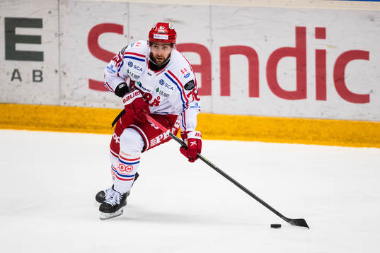 Timrås Robin Hanzl