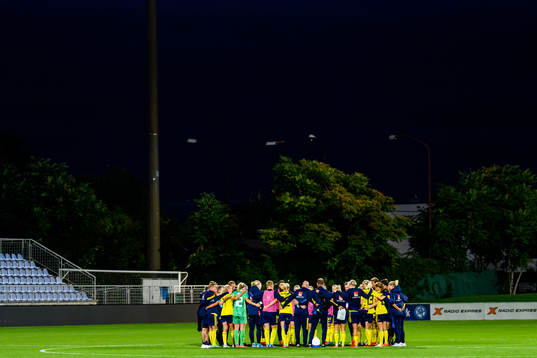 Player of Sweden gather