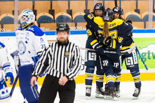Spelare ur HV71 jublar