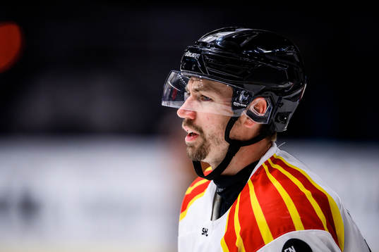Brynäs Anton Rödin