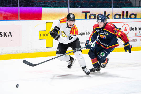 Brynäs Tomi Sallinen och Djurgårdens Oscar Bjerselius