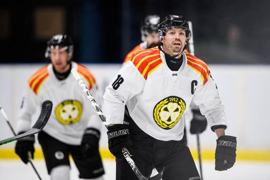 Brynäs Anton Rödin