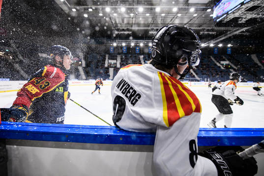 Djurgårdens Tom Nilsson och Brynäs John Nyberg