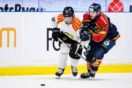 Brynäs Tom Hedbergoch Djurgårdens Paul Carey