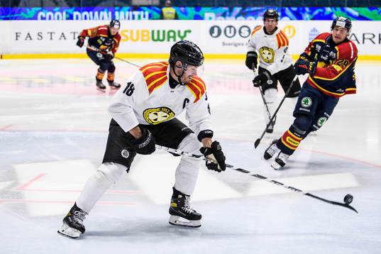 Brynäs Anton Rödin
