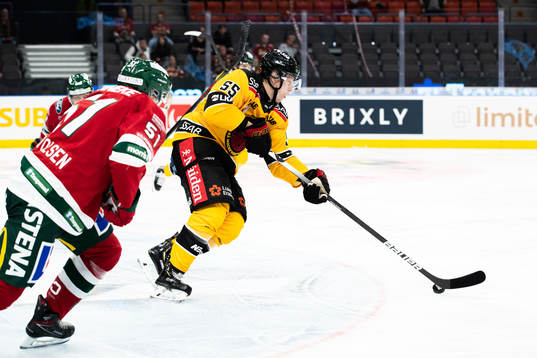 Luleås Vilmos Gallo