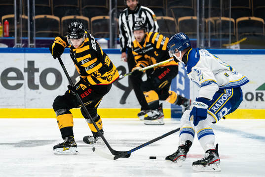Skellefteås Stefan Loibl