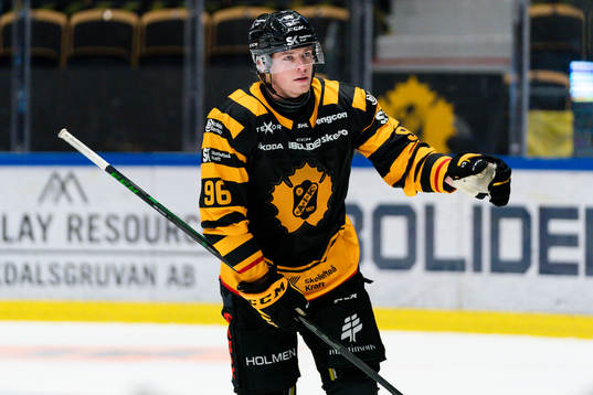 Skellefteås Rickard Hugg jublar