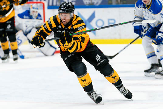 Skellefteås Michael Kapla