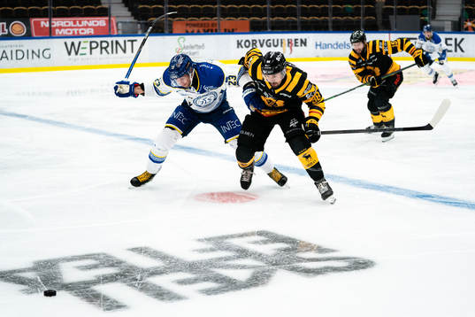 Leksands Mikael Ruohomaa och Skellefteås Jayce Hawryluk