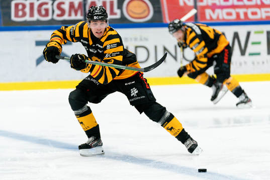 Skellefteås Adam Wilsby