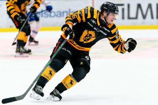 Skellefteås Rickard Hugg