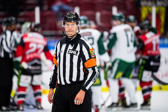 Domare Johan Magnusson