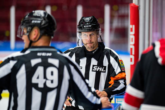 Domare Johan Magnusson