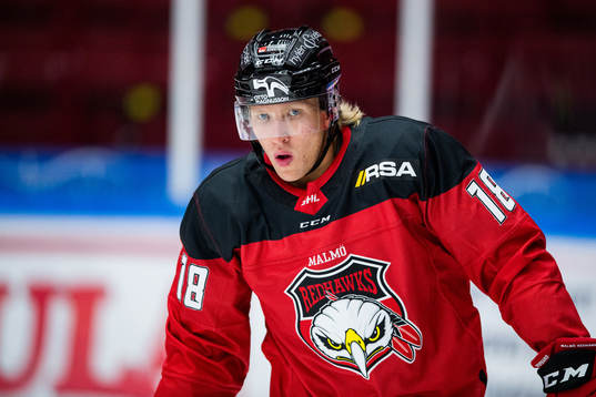 Malmö Redhawks Marcus Sylvegård