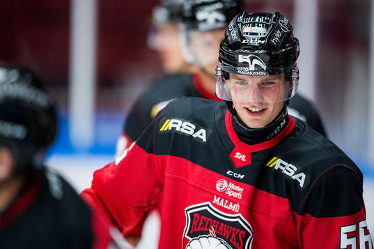 Malmö Redhawks Anton Olsson