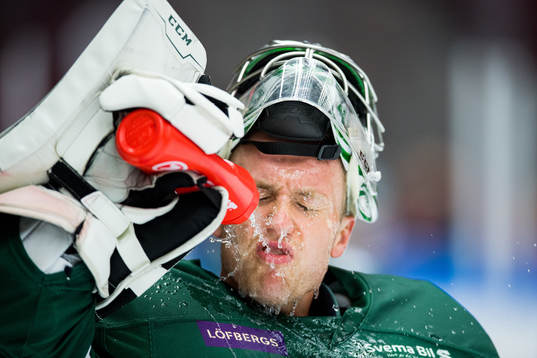 Färjestads målvakt Henrik Haukeland