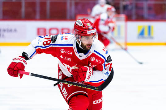 Timrås Robin Hanzl