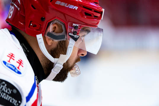 Timrås Robin Hanzl
