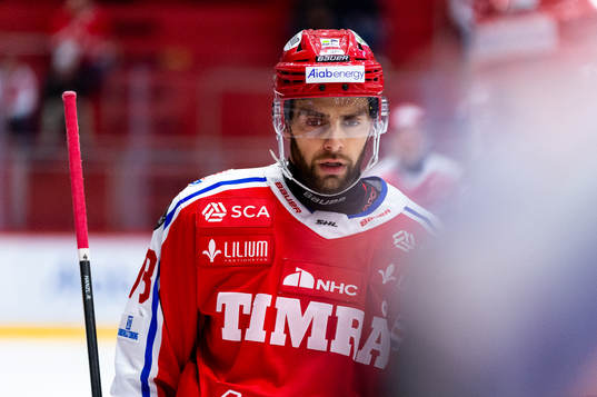 Timrås Robin Hanzl