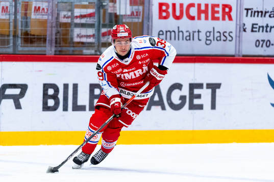Timrås Ty Rattie
