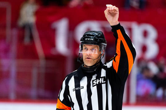 Domare Mikael Nord