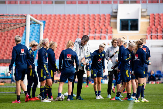 Players of Sweden gathered