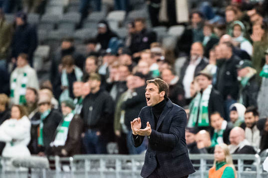 Hammarbys tränare Milos Milojevic