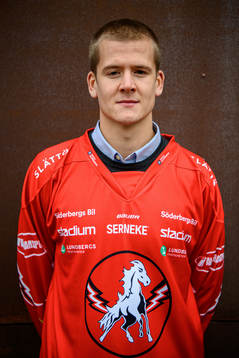 Erik Borg, Vita Hästen