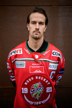 Daniel Sylwander, Modo