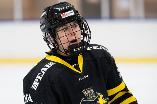 s Lisa Johansson