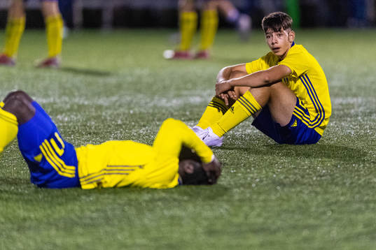 Sveriges Arvin Davoudi-Kia deppar