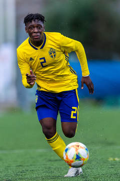 Sveriges William Rashidi